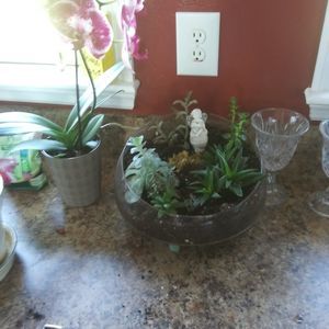 Meet your Posher, Tricia